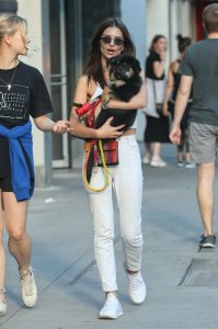 Emily Ratajkowski Braless See Through Nude TheFappeningBlog.com 268.jpg