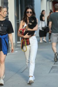 Emily Ratajkowski Braless See Through Nude TheFappeningBlog.com 269.jpg