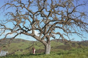 Brooke Moore Nude TheFappeningBlog.com 1.jpg