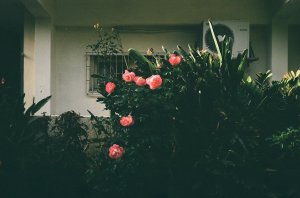 Mary Doubova Nude TheFappeningBlog.com 25.jpg