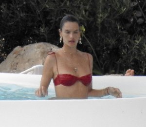 Alessandra Ambrosio Sexy TheFappeningBlog.com 27.jpg
