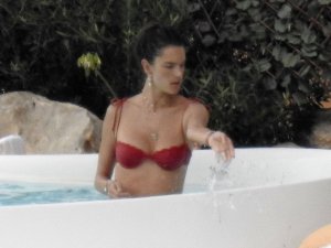 Alessandra Ambrosio Sexy TheFappeningBlog.com 30.jpg