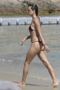 Alessandra Ambrosio Sexy TheFappeningBlog.com 65.jpg