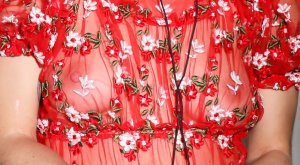 Chelsea Leyland See Through Nude TheFappeningBlog.com 2.jpg