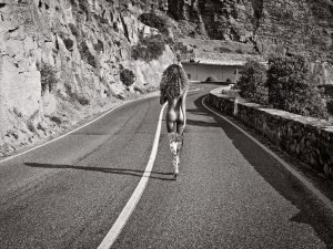 Tarima Darim Nude TheFappeningBlog.com 18.jpg