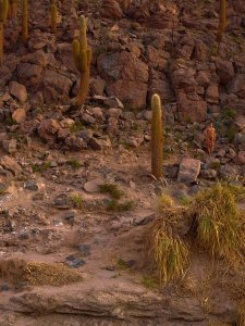 Marisa Papen Nude TheFappeningBlog.com 1.jpg