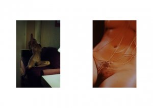 Hâf Gibson  Nude TheFappeningBlog.com 8.jpg