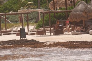 Jayde Nicole, Tina Louise Sexy TheFappeningBlog.com 29.jpg