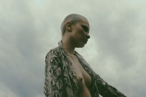 Evelyn Vendetta  Nude TheFappeningBlog.com 1.jpg