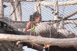 Vanessa Morgan Sexy TheFappeningBlog.com 20.jpg