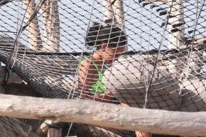 Vanessa Morgan Sexy TheFappeningBlog.com 23.jpg