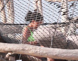 Vanessa Morgan Sexy TheFappeningBlog.com 22.jpg