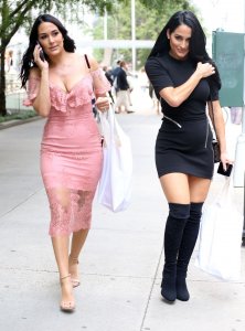 Brie Bella, Nikki Bella Sexy TheFappeningBlog.com 1.jpg