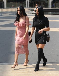 Brie Bella, Nikki Bella Sexy TheFappeningBlog.com 11.jpg