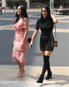 Brie Bella, Nikki Bella Sexy TheFappeningBlog.com 16.jpg