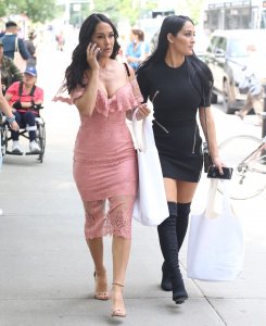 Brie Bella, Nikki Bella Sexy TheFappeningBlog.com 49.jpg