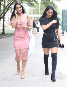 Brie Bella, Nikki Bella Sexy TheFappeningBlog.com 60.jpg