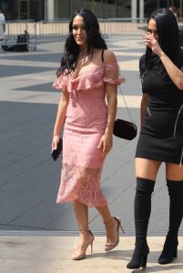 Brie Bella, Nikki Bella Sexy TheFappeningBlog.com 93.jpg