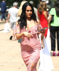Brie Bella, Nikki Bella Sexy TheFappeningBlog.com 71.jpg