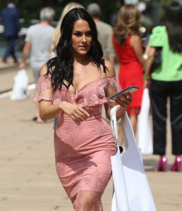 Brie Bella, Nikki Bella Sexy TheFappeningBlog.com 24.jpg
