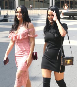 Brie Bella, Nikki Bella Sexy TheFappeningBlog.com 68.jpg