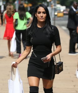 Brie Bella, Nikki Bella Sexy TheFappeningBlog.com 30.jpg