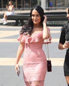 Brie Bella, Nikki Bella Sexy TheFappeningBlog.com 90.jpg