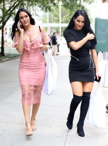 Brie Bella, Nikki Bella Sexy TheFappeningBlog.com 88.jpg