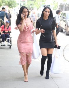 Brie Bella, Nikki Bella Sexy TheFappeningBlog.com 44.jpg