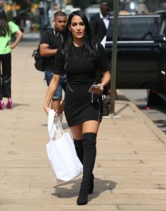 Brie Bella, Nikki Bella Sexy TheFappeningBlog.com 25.jpg