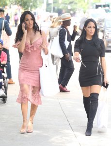 Brie Bella, Nikki Bella Sexy TheFappeningBlog.com 76.jpg