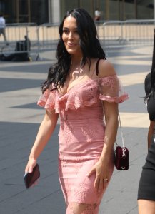 Brie Bella, Nikki Bella Sexy TheFappeningBlog.com 96.jpg