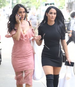 Brie Bella, Nikki Bella Sexy TheFappeningBlog.com 46.jpg