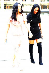 Brie Bella, Nikki Bella Sexy TheFappeningBlog.com 102.jpg
