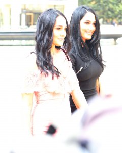 Brie Bella, Nikki Bella Sexy TheFappeningBlog.com 103.jpg