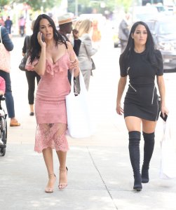Brie Bella, Nikki Bella Sexy TheFappeningBlog.com 119.jpg