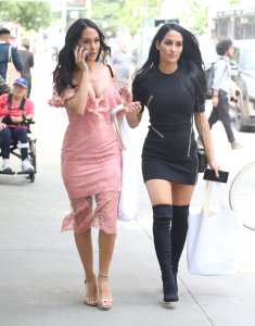 Brie Bella, Nikki Bella Sexy TheFappeningBlog.com 126.jpg