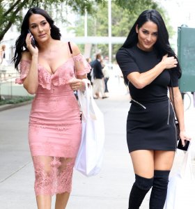 Brie Bella, Nikki Bella Sexy TheFappeningBlog.com 138.jpg