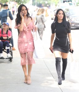 Brie Bella, Nikki Bella Sexy TheFappeningBlog.com 123.jpg