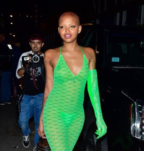 Slick Woods See Through TheFappeningBlog.com 1.jpg