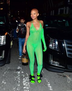 Slick Woods See Through TheFappeningBlog.com 4.jpg