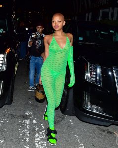 Slick Woods See Through TheFappeningBlog.com 3.jpg