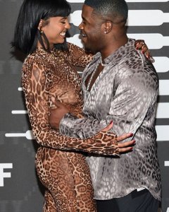 Renell Medrano Nude See Through TheFappeningBlog.com 11.jpg