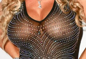 Coco Austin See Through Nude TheFappeningBlog.com 3.jpg