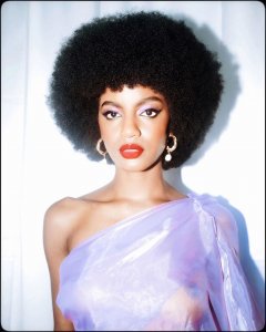 Ebonee Davis See Through Nude TheFappeningBlog.com 21.jpg