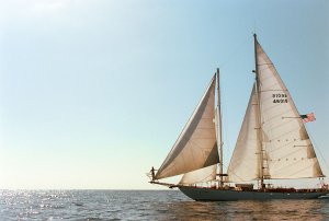 Barbara Di Creddo Sexy 60.jpg