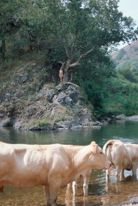 Maya Otsoko  Nude TheFappeningBlog.com 9.jpg