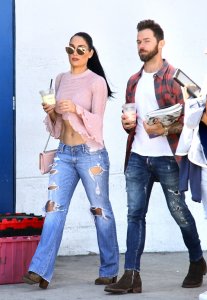 Nikki Bella Sexy TheFappeningBlog.com 10.jpg