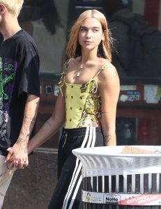Dua Lipa Sexy TheFappeningBlog.com 134.jpg