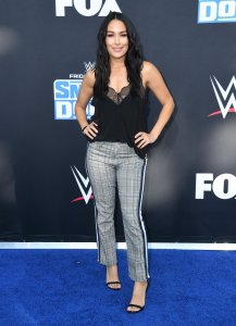 Brie Bella Sexy TheFappeningBlog.com 2.jpg